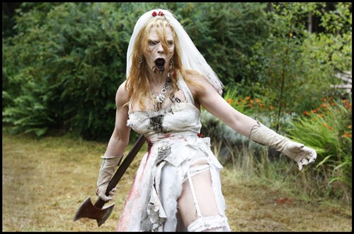 Doghouse Fotoğrafı