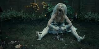 Doghouse Fotoğrafı