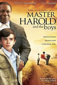 Master Harold... And The Boys (2010) afişi