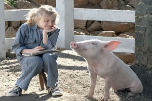 Minik Örümcek Şarlot Fotoğrafı