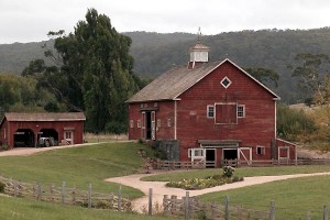 Minik Örümcek Şarlot Fotoğrafı