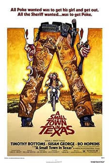 A Small Town in Texas (1976) afişi