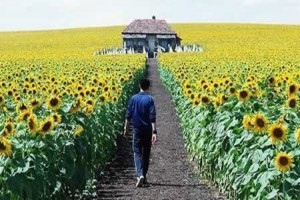 Her Şey Aydınlandı Fotoğrafı