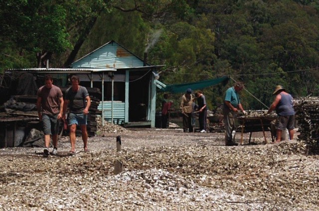 İstiridye Avcısı fotoğrafı