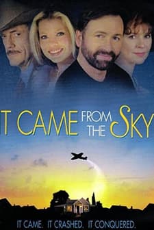It Came From The Sky (1999) afişi