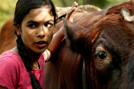 Afacan Dörtler Fotoğrafı