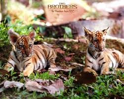 İki Kardeş Fotoğrafı