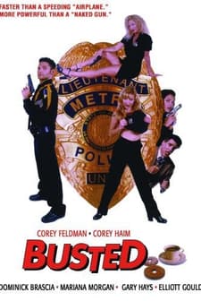 Busted (1997) afişi