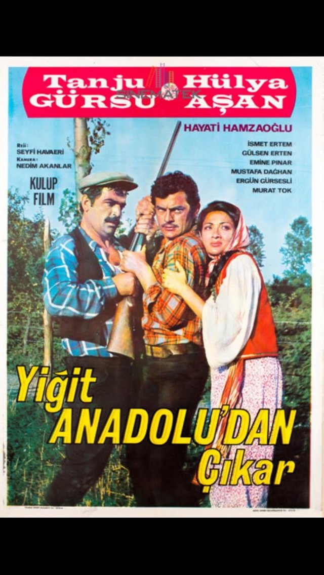 Yiğit Anadolu'dan Çıkar (1969) afişi