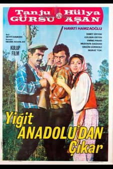 Yiğit Anadolu'dan Çıkar (1969) afişi
