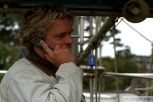 Köpek Balığı Sürüsü Fotoğrafı