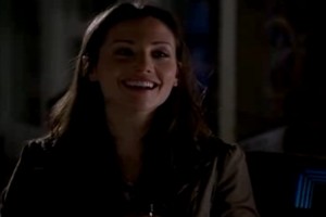 Köpek Balığı Sürüsü Fotoğrafı