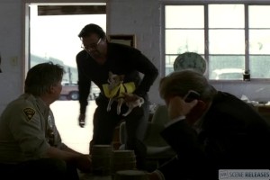 Köpek Balığı Sürüsü Fotoğrafı