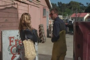 Köpek Balığı Sürüsü Fotoğrafı