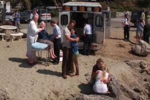 Köpek Balığı Sürüsü fotoğrafı