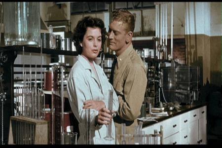 Denizin İçinden fotoğrafı