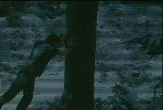 Alacakaranlık Efsanesi: Tutulma Fotoğrafı