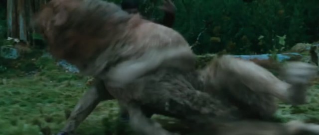 Alacakaranlık Efsanesi: Tutulma Fotoğrafı