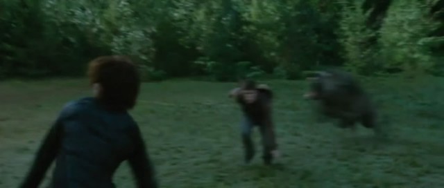 Alacakaranlık Efsanesi: Tutulma Fotoğrafı