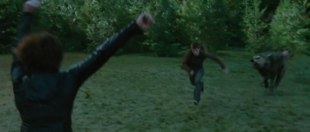 Alacakaranlık Efsanesi: Tutulma Fotoğrafı