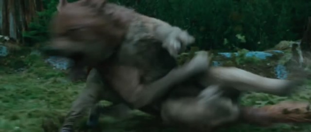 Alacakaranlık Efsanesi: Tutulma Fotoğrafı