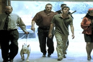 Good Chemistry fotoğrafı