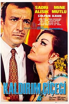 Kaldırım Çiçeği (1969) afişi