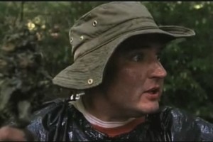 Domuz Avı Fotoğrafı