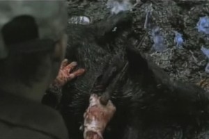 Domuz Avı fotoğrafı