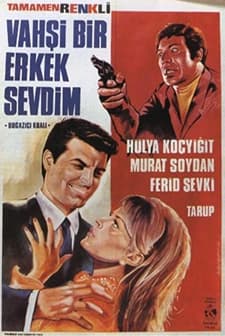 Vahşi Bir Erkek Sevdim (1968) afişi