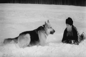 Ko Mne, Mukhtar! Fotoğrafı