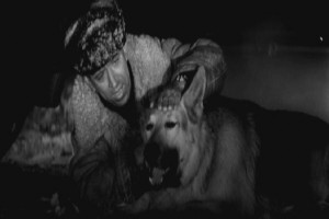 Ko Mne, Mukhtar! Fotoğrafı