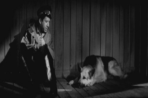 Ko Mne, Mukhtar! fotoğrafı