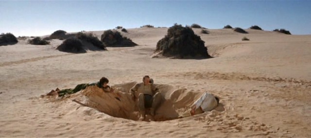 Çöller Melikesi Fotoğrafı