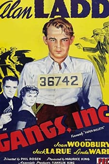 Paper Bullets (1941) afişi