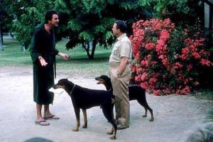 Magnum, P.I. fotoğrafı