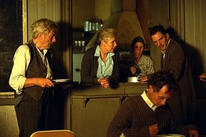 Örümcek fotoğrafı