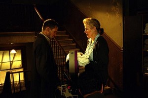 Örümcek fotoğrafı