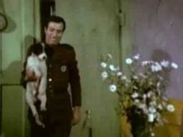 Bekçiler Kralı fotoğrafı