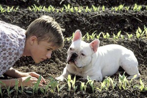 Muhteşem Üçlü Fotoğrafı