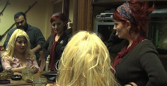 Yaşam Arsızı Fotoğrafı