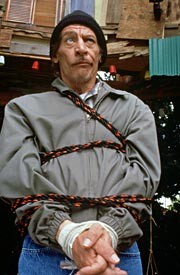 Treehouse Hostage fotoğrafı