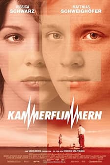 Kammerflimmern (2004) afişi