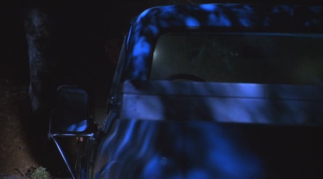 Campfire Tales Fotoğrafı