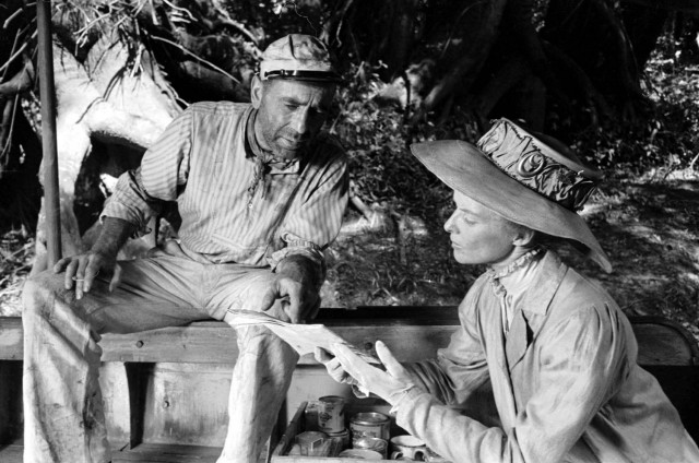 Afrika Kraliçesi Fotoğrafı