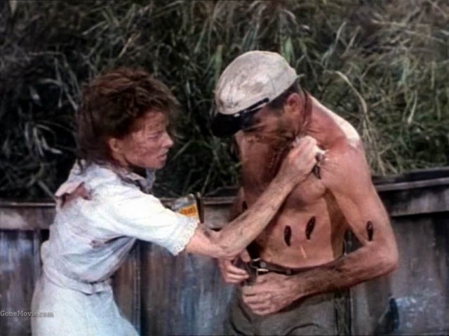 Afrika Kraliçesi Fotoğrafı