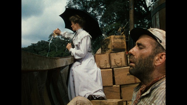 Afrika Kraliçesi Fotoğrafı