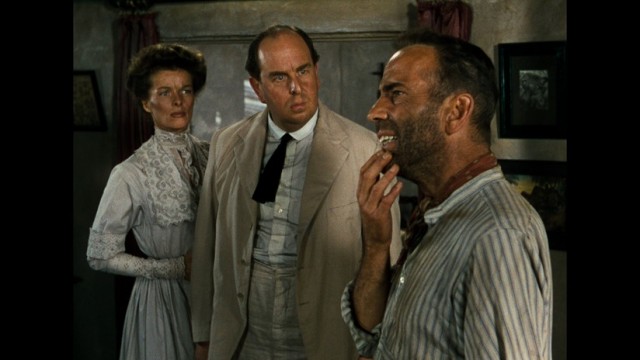 Afrika Kraliçesi fotoğrafı