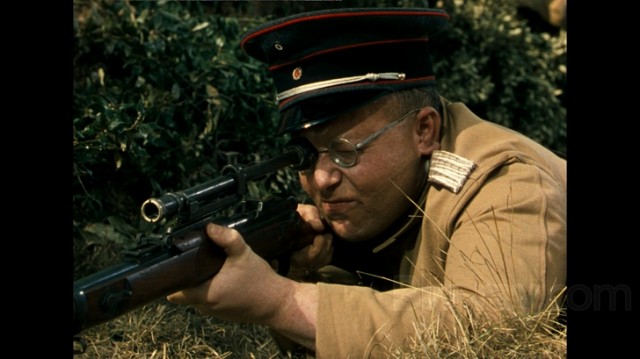 Afrika Kraliçesi Fotoğrafı