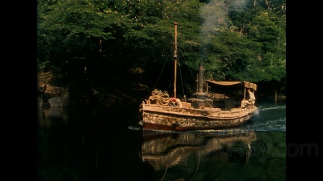 Afrika Kraliçesi Fotoğrafı